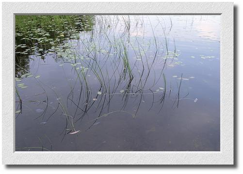 Pond, Southern Vermont