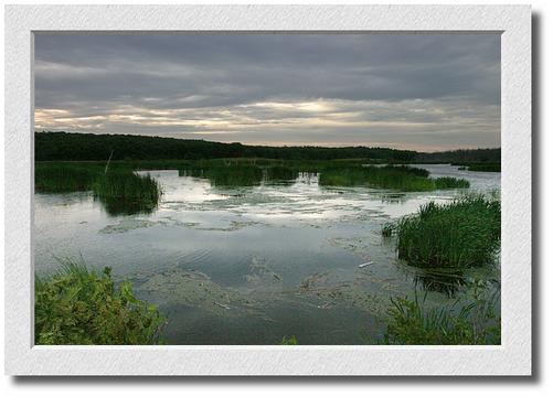 Marsh near Wiscasset, Maine