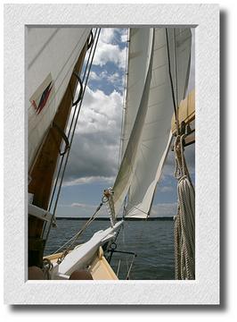 View from the Foredeck, Northeast Harbor