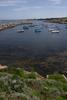 Moored Sailboats, Rockport Harbor