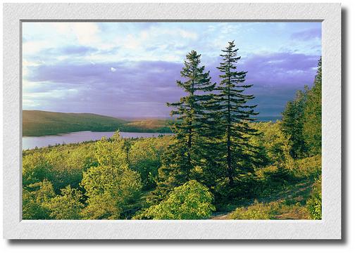 Acadia Sunset