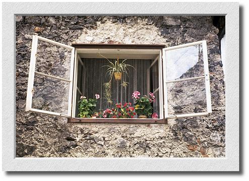 Austria Window