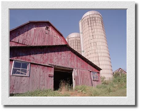 Andy's Barn