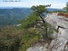 IMG_0886_ann.jpg