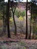 bandelier5.jpg