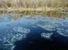 ice_floes_1.jpg