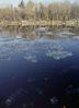 ice_floes_2.jpg
