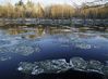 ice_floes_3.jpg