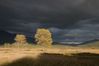 taos_sunset_1.jpg