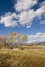 taos_view_behind_shops1.jpg
