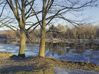 two_trees_and_ice_on_androscoggin.jpg