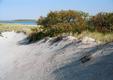 Cranes Beach Dunes