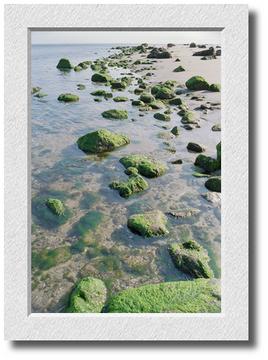 Rocky shore, Cranes Beach