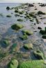 Rocky shore, Cranes Beach