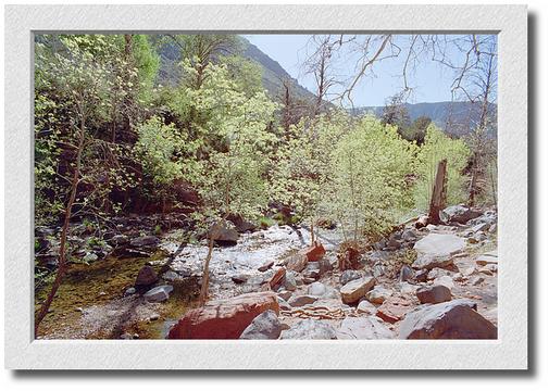 Oak Creek Canyon