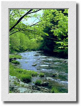 Virginia Creeper Trail