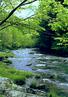 Virginia Creeper Trail