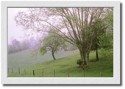 Devil's Fork Gap