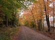 Autumn Woods, Essex, Massacussetts