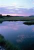 Essex Marsh Sunset