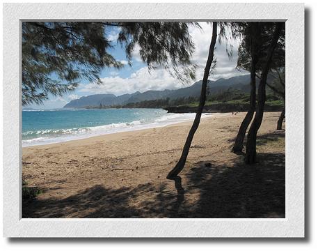 North Shore View