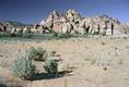 Kolob Terrace Road