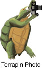  Terrapin Photo Logo