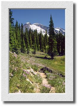 Mt. Adams Path