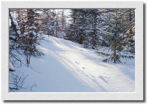 Mt. Hayes Snow Scene