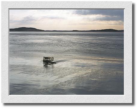 Lobster Trap Awash