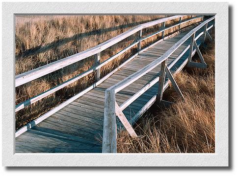 Plum Island Boardwalk