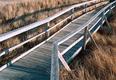 Plum Island Boardwalk