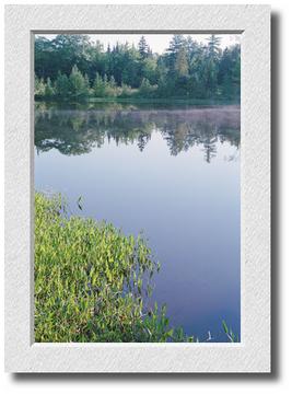 Pond and Mist