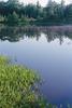 Pond and Mist