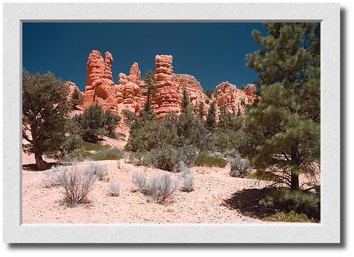 Red Canyon
