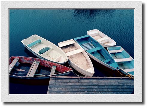 Dories off Tuna Wharf