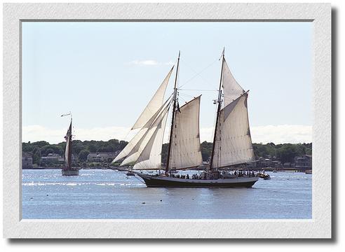 Schooner Festival, Gloucester