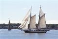 Schooner Festival, Gloucester