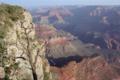 Canyon Sunrise, Gnarled Tree