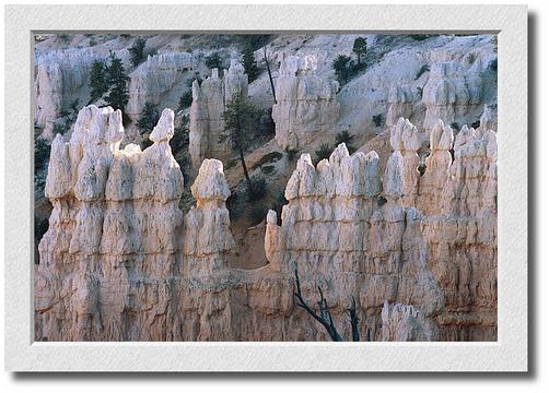 Sunset Hoodoos