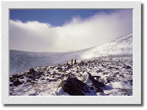 Tuckermans
