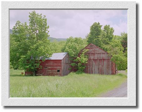 Two Red Barns