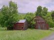 Two Red Barns