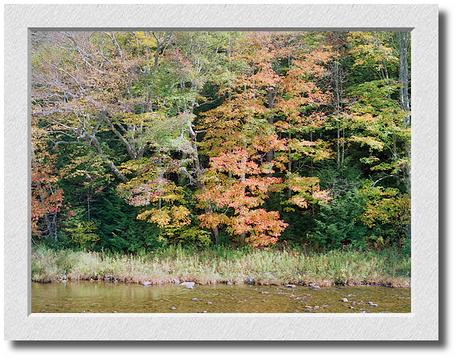 Vermont Stream