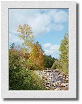 Wardsboro Stream