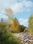 Wardsboro Stream